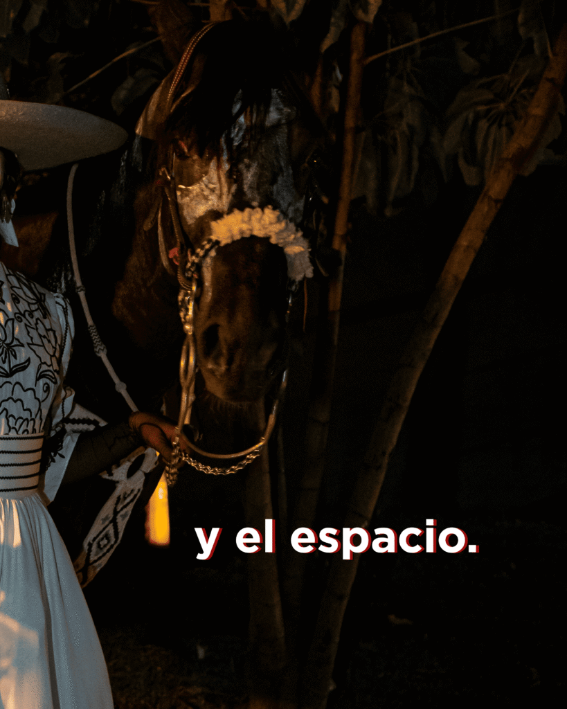 Caballo disfrazado de dia de muertos